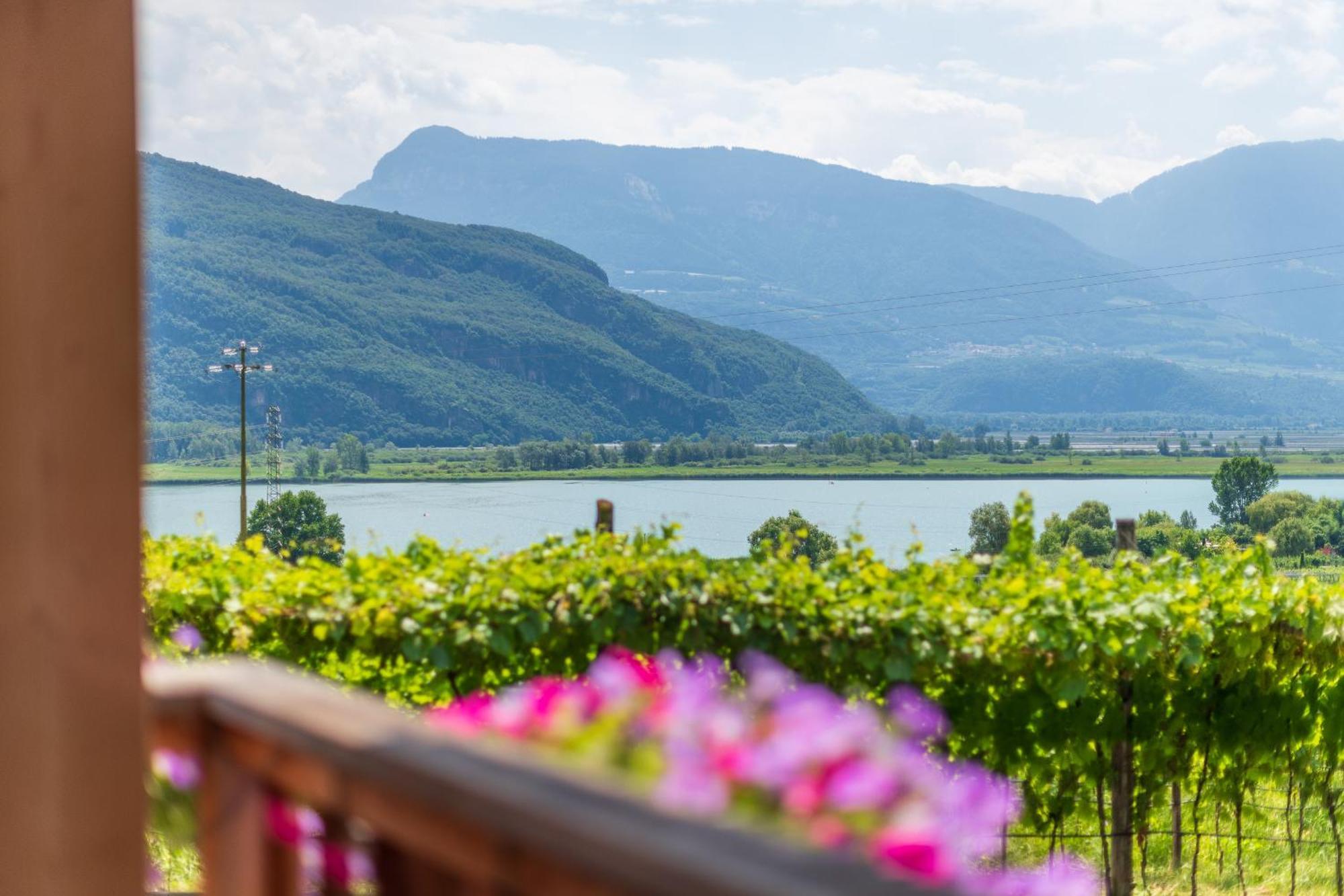 Weinhof Am See Caldaro Extérieur photo